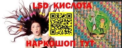прущие грибы Малгобек