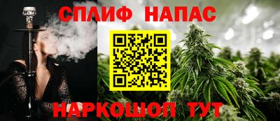 прущие грибы Малгобек