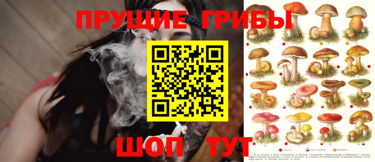 Псилоцибиновые грибы мухоморы Тайшет